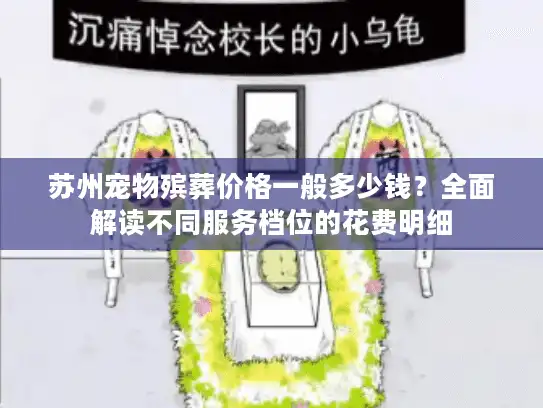 苏州宠物殡葬价格一般多少钱？全面解读不同服务档位的花费明细