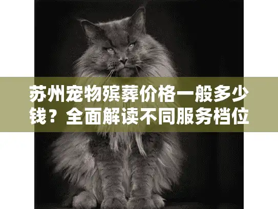 苏州宠物殡葬价格一般多少钱？全面解读不同服务档位的花费明细