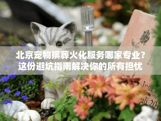 北京宠物殡葬火化服务哪家专业？这份避坑指南解决你的所有担忧
