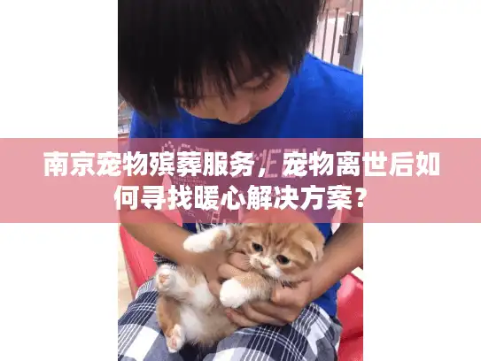 南京宠物殡葬服务，宠物离世后如何寻找暖心解决方案？