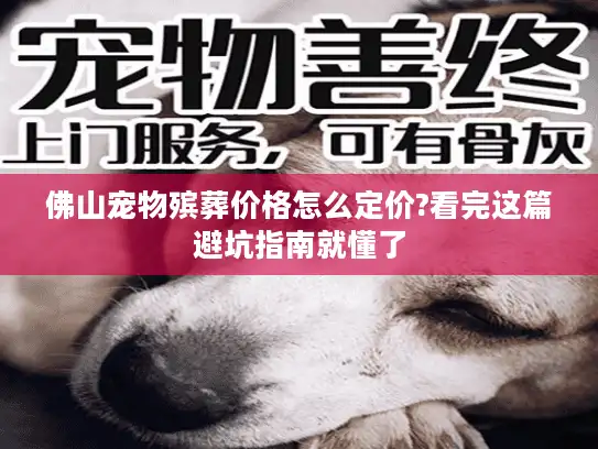 佛山宠物殡葬价格怎么定价?看完这篇避坑指南就懂了