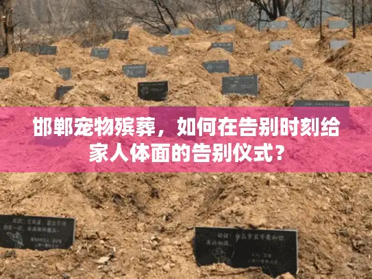 邯郸宠物殡葬，如何在告别时刻给家人体面的告别仪式？