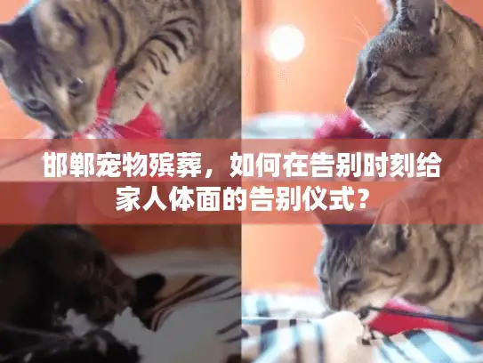 邯郸宠物殡葬，如何在告别时刻给家人体面的告别仪式？