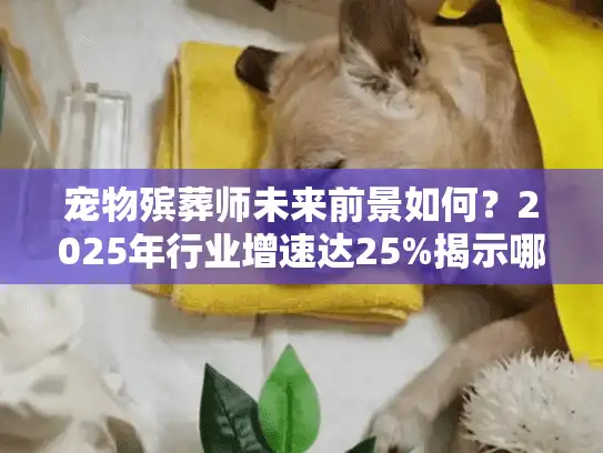 宠物殡葬师未来前景如何？2025年行业增速达25%揭示哪些趋势？