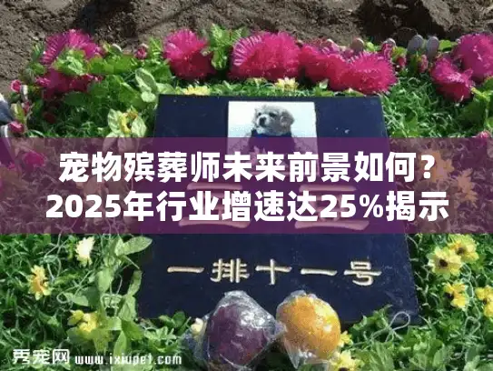 宠物殡葬师未来前景如何？2025年行业增速达25%揭示哪些趋势？