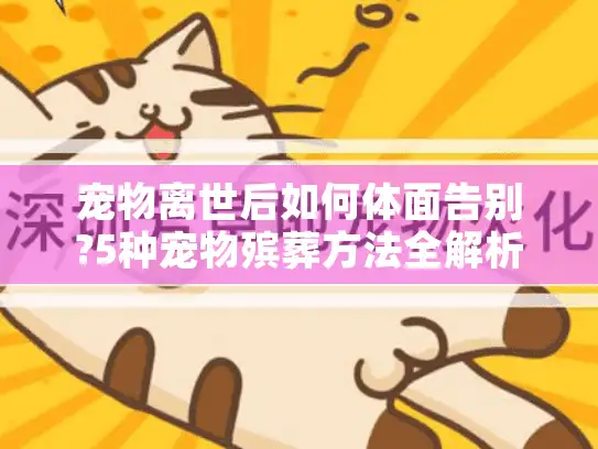 宠物离世后如何体面告别?5种宠物殡葬方法全解析