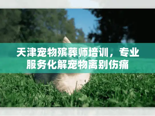 天津宠物殡葬师培训，专业服务化解宠物离别伤痛