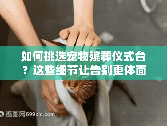 如何挑选宠物殡葬仪式台？这些细节让告别更体面