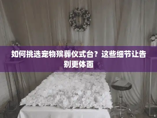 如何挑选宠物殡葬仪式台？这些细节让告别更体面