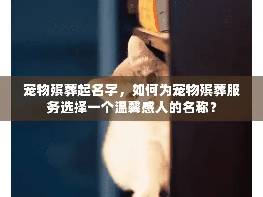 宠物殡葬起名字，如何为宠物殡葬服务选择一个温馨感人的名称？