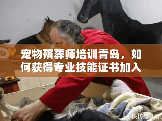 宠物殡葬师培训青岛，如何获得专业技能证书加入爱心行业？