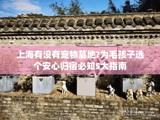 上海有没有宠物墓地?为毛孩子选个安心归宿必知5大指南