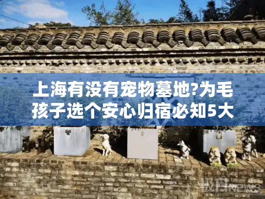 上海有没有宠物墓地?为毛孩子选个安心归宿必知5大指南
