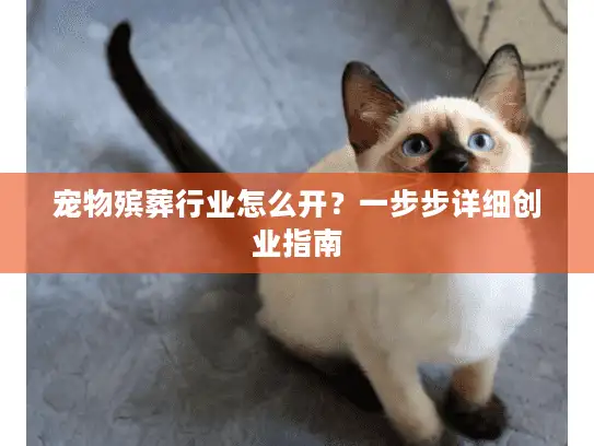 宠物殡葬行业怎么开？一步步详细创业指南