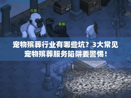 宠物殡葬行业有哪些坑？3大常见宠物殡葬服务陷阱要警惕！