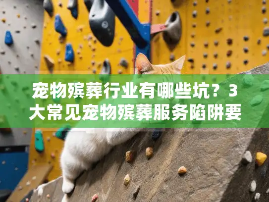 宠物殡葬行业有哪些坑？3大常见宠物殡葬服务陷阱要警惕！