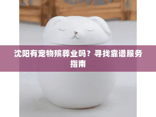沈阳有宠物殡葬业吗？寻找靠谱服务指南
