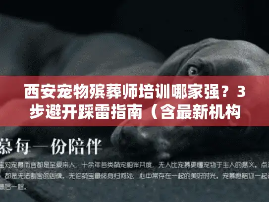 西安宠物殡葬师培训哪家强？3步避开踩雷指南（含最新机构测评）