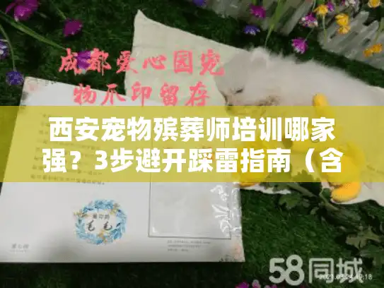 西安宠物殡葬师培训哪家强？3步避开踩雷指南（含最新机构测评）
