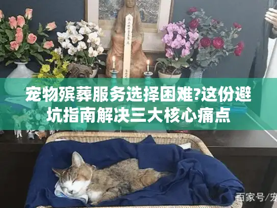 宠物殡葬服务选择困难?这份避坑指南解决三大核心痛点
