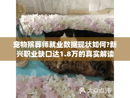 宠物殡葬师就业数据现状如何?新兴职业缺口达1.8万的真实解读