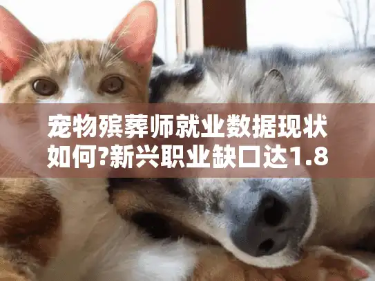 宠物殡葬师就业数据现状如何?新兴职业缺口达1.8万的真实解读