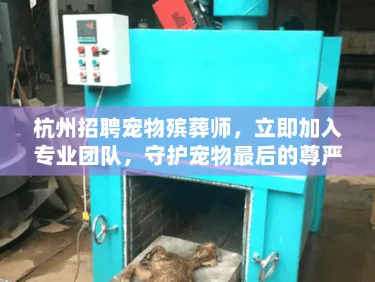 杭州招聘宠物殡葬师，立即加入专业团队，守护宠物最后的尊严