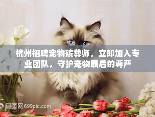 杭州招聘宠物殡葬师，立即加入专业团队，守护宠物最后的尊严
