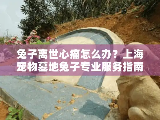 兔子离世心痛怎么办？上海宠物墓地兔子专业服务指南