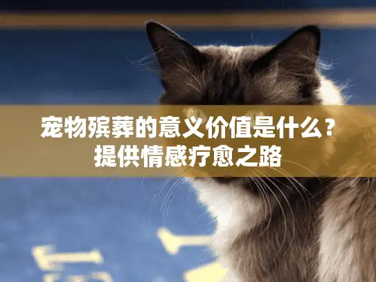 宠物殡葬的意义价值是什么？提供情感疗愈之路