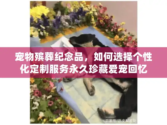 宠物殡葬纪念品，如何选择个性化定制服务永久珍藏爱宠回忆