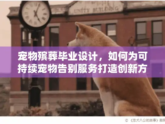宠物殡葬毕业设计，如何为可持续宠物告别服务打造创新方案？