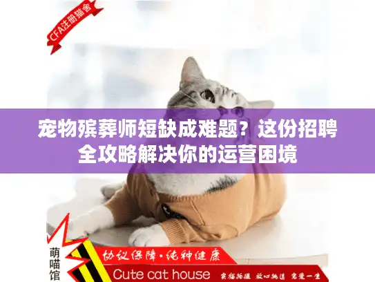 宠物殡葬师短缺成难题？这份招聘全攻略解决你的运营困境
