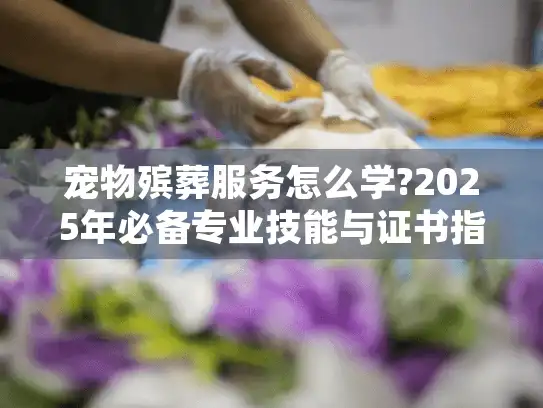 宠物殡葬服务怎么学?2025年必备专业技能与证书指南
