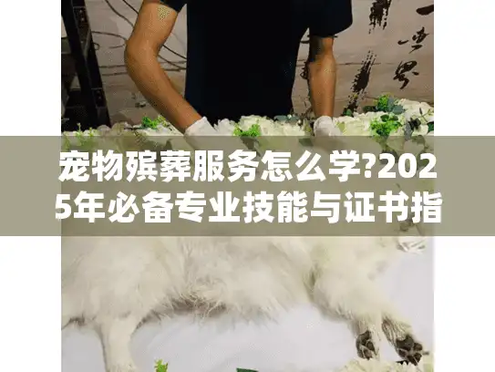宠物殡葬服务怎么学?2025年必备专业技能与证书指南
