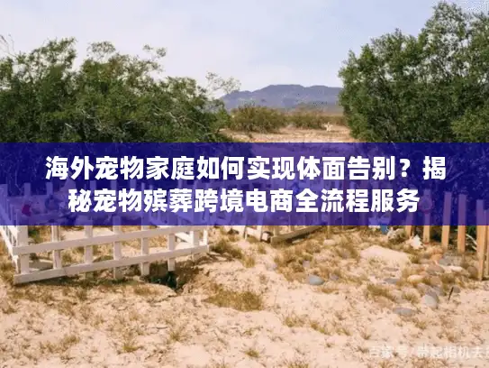 海外宠物家庭如何实现体面告别？揭秘宠物殡葬跨境电商全流程服务