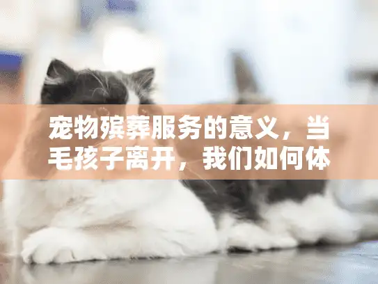 宠物殡葬服务的意义，当毛孩子离开，我们如何体面告别？