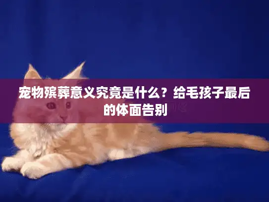 宠物殡葬意义究竟是什么？给毛孩子最后的体面告别