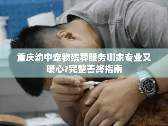 重庆渝中宠物殡葬服务哪家专业又暖心?完整善终指南