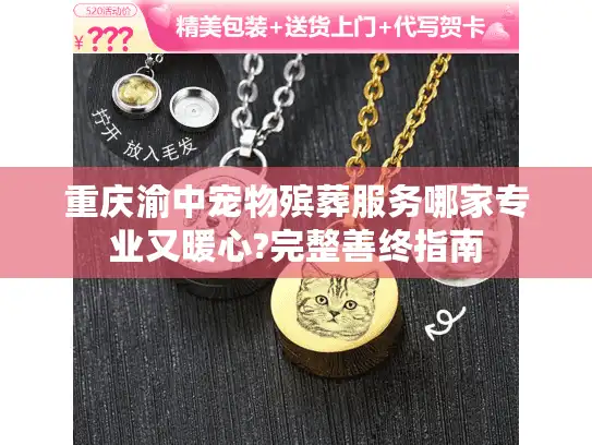 重庆渝中宠物殡葬服务哪家专业又暖心?完整善终指南