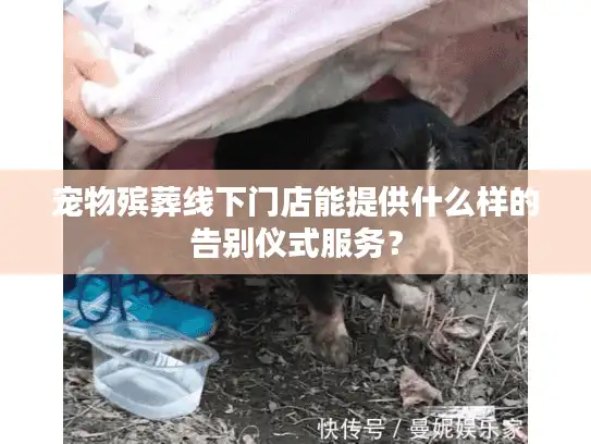 宠物殡葬线下门店能提供什么样的告别仪式服务？