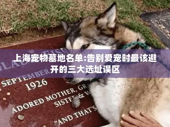 上海宠物墓地名单:告别爱宠时最该避开的三大选址误区