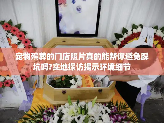 宠物殡葬的门店照片真的能帮你避免踩坑吗?实地探访揭示环境细节