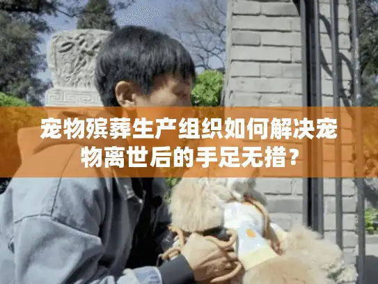 宠物殡葬生产组织如何解决宠物离世后的手足无措？