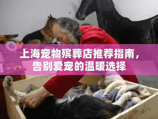 上海宠物殡葬店推荐指南，告别爱宠的温暖选择