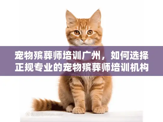 宠物殡葬师培训广州，如何选择正规专业的宠物殡葬师培训机构？