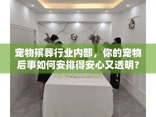宠物殡葬行业内部，你的宠物后事如何安排得安心又透明？