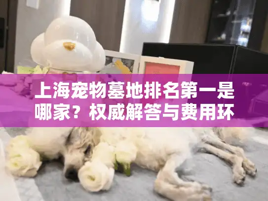 上海宠物墓地排名第一是哪家？权威解答与费用环境对比指南