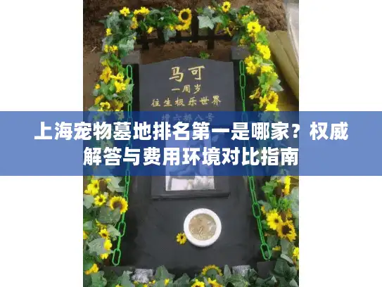 上海宠物墓地排名第一是哪家？权威解答与费用环境对比指南