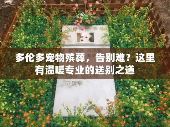 多伦多宠物殡葬，告别难？这里有温暖专业的送别之道